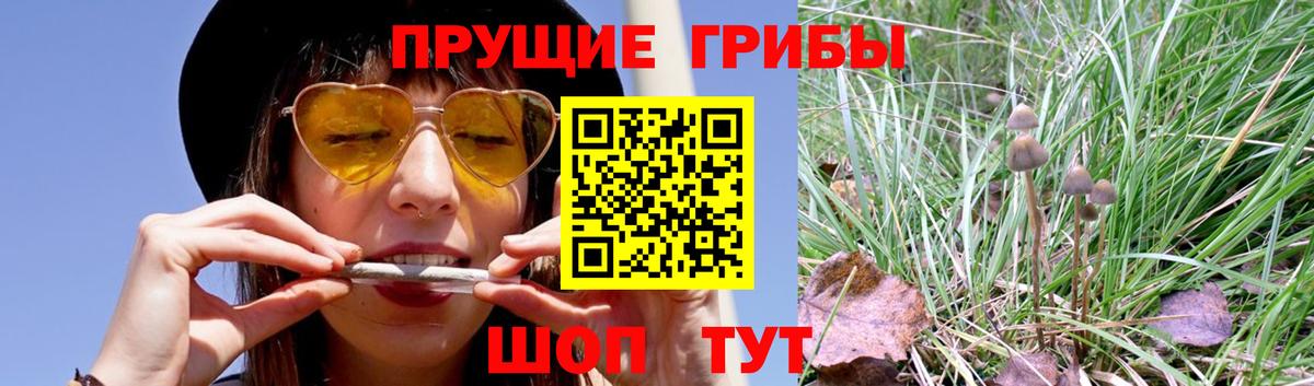 Псилоцибиновые грибы мухоморы  Вход с VPN  Коряжма 
